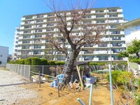 シャルマンコーポ川口（909）