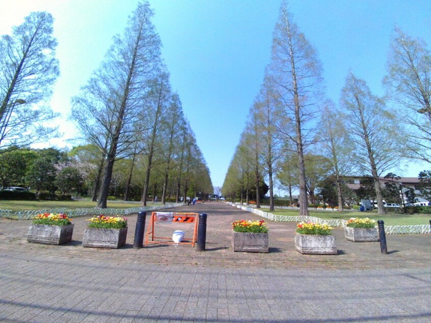 草加公園(公園)まで768m サザンイ－ストテラス