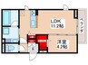 Ｍ´ｓ　ＨＯＵＳＥ 1LDKの間取り