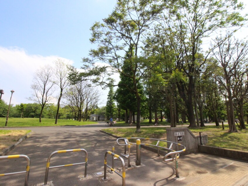 篠崎公園(公園)まで500m コーポ秀