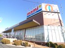マミーマートプラス(スーパー)まで750m サンクリア