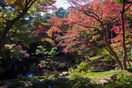 殿ヶ谷戸庭園(公園)まで1100m ソレイユ弥生