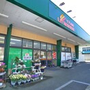 リブレ京成(スーパー)まで435m ハイツ杉