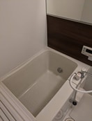 バス／シャワールーム等 レセンテ野川Ａ棟