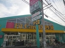 Fit Care DEPOT野川店(ドラッグストア)まで460m レセンテ野川Ａ棟