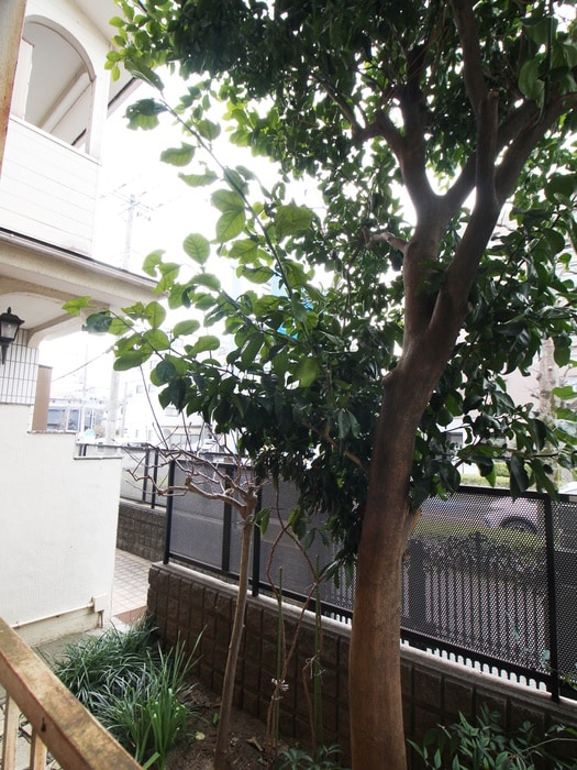 室内からの展望 ハイツ金子