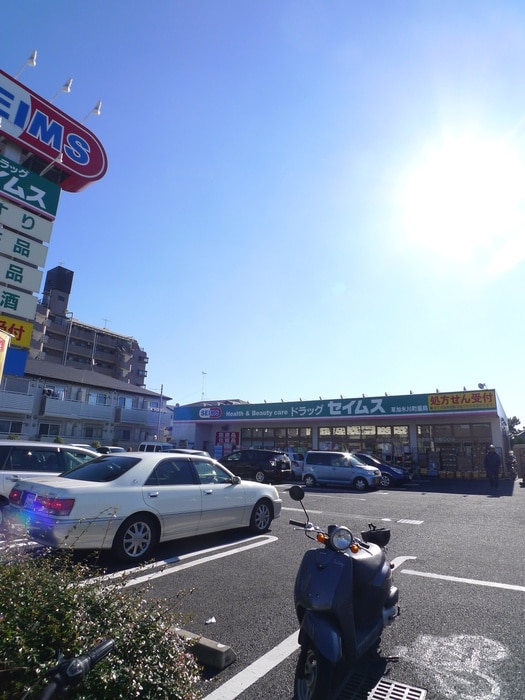 セイムス(ドラッグストア)まで124m 佳月　マンション