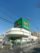 マルエツ(スーパー)まで668m サンハイツ松原