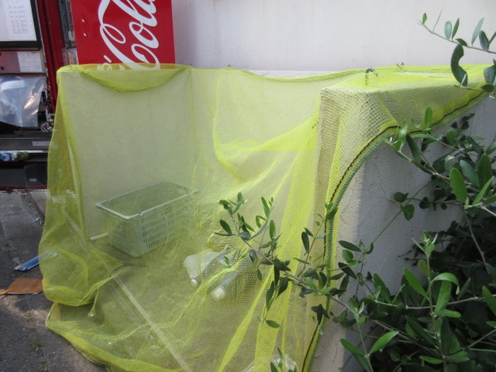 その他 Ａｍｏｕｒ　Ｒ.