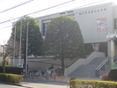市民体育館(公園)まで750m リブレーヌ　ドゥ
