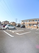 駐車場 エヴァーグリーンＢ