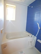 バス／シャワールーム等 エヴァーグリーンＢ