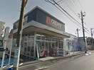 クリエイトエス・ディー港北日吉本町店(ドラッグストア)まで297m ｱ-ﾊﾞﾝﾋﾙｽﾞﾏﾝｼｮﾝ日吉（２０６）