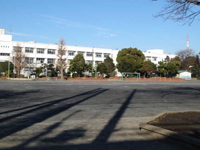 中田小学校(小学校)まで343m ｺﾄｰｺｼﾞﾏ