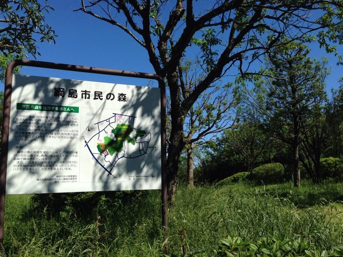 綱島市民の森(公園)まで600m セイコーヴィラ
