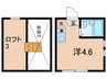 メゾン・ルミエール 1Rの間取り