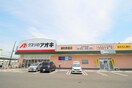 クスリのアオキ(ドラッグストア)まで230m Ｌｉｂｒａ浦和美園