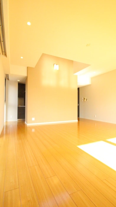 居室 レジディア御殿山