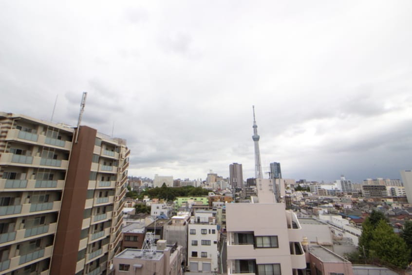 室内からの展望 グランシアタワー亀戸（911）