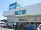 BIG-A入間仏子店(スーパー)まで311m メロディ－ハイム石井