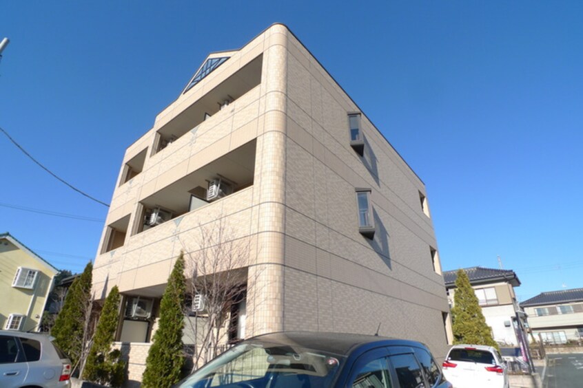 その他 ストロベリ－フィ－ルド