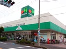 マルエツ　草加稲荷店(スーパー)まで904m コ－ポ　会田