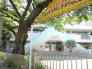 桂幼稚園(幼稚園/保育園)まで150m アミ－コ－ト高田