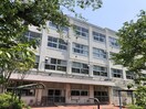 瀬ケ崎小学校(小学校)まで908m ﾆｭｰｳｪﾙﾃﾗｽ金沢八景F棟（206）