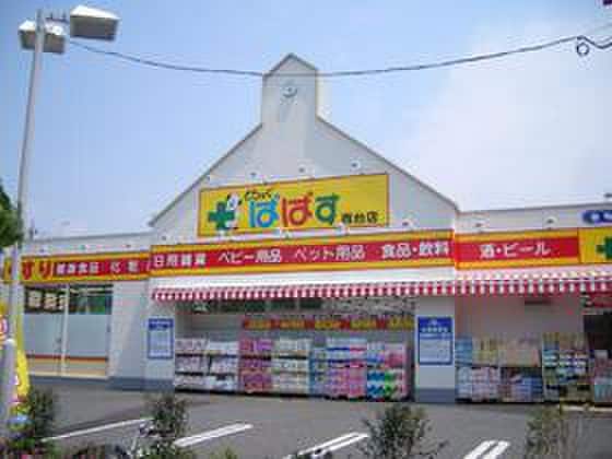 ドラックぱぱす(ドラッグストア)まで834m ハイム・フル－ル