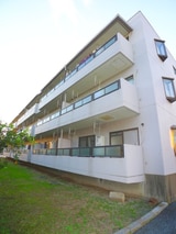 ジュネシオン　サカエ