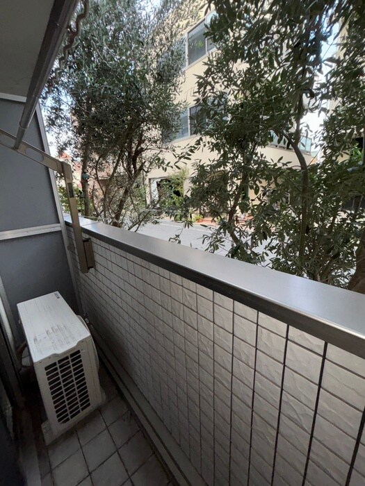 室内からの展望 シルフィード