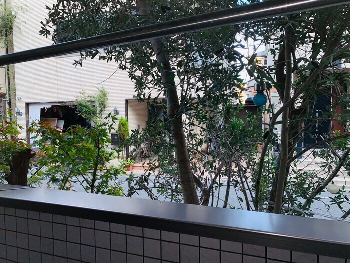 室内からの展望 シルフィード