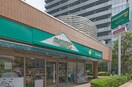 マルエツプチ(スーパー)まで290m ORME　COURT　NIPPORI　EAST