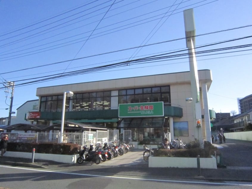 スーパーTAIGA岡津店(スーパー)まで850m Kolet戸塚上矢部町＃5