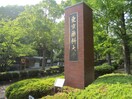 東京薬科大学(大学/短大/専門学校)まで796m キャッスル４