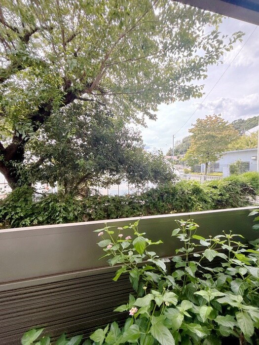 室内からの展望 Ｙ′ｓ　ＨＯＵＳＥ