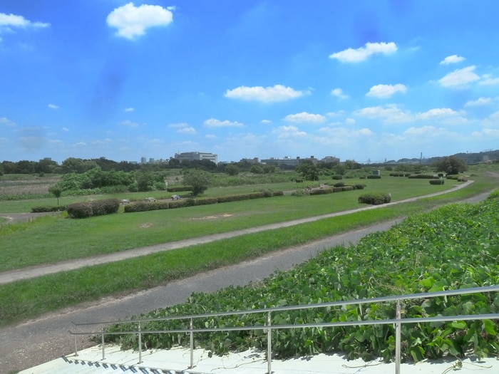 一ノ宮公園(公園)まで764m Ｙ′ｓ　ＨＯＵＳＥ