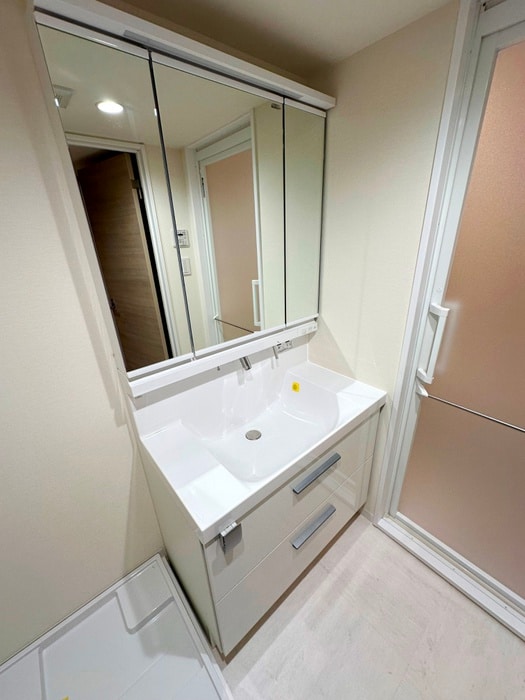 洗面 ドミール川口（207）