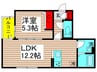 セレスティア一ツ家 1LDKの間取り