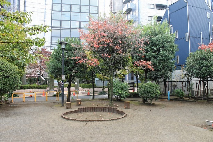 世田谷区立三軒茶屋二丁目公園(公園)まで650m アン・ウィスタリア