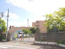 氷川小学校(小学校)まで160m ニューオカダパールマンション