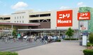 ニトリホームズ(電気量販店/ホームセンター)まで1100m Arietta　TAKINISHI