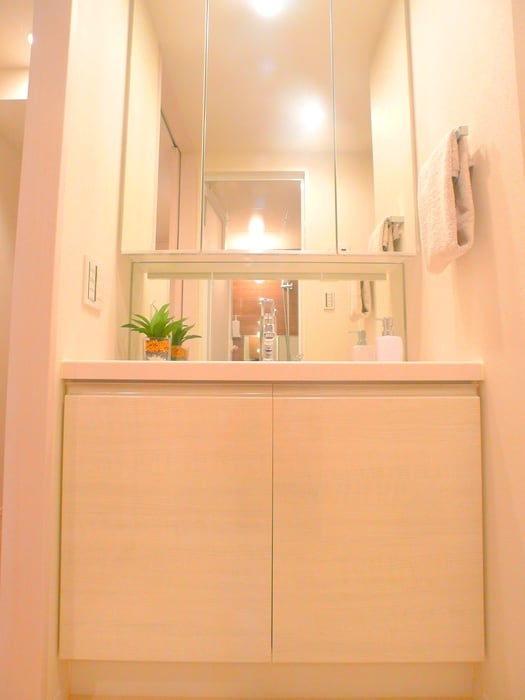 洗面 ワンルーフレジデンス西日暮里