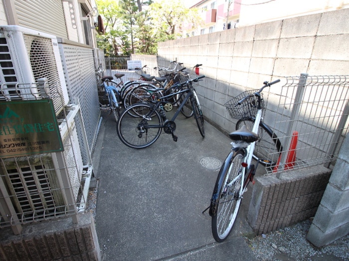 その他 コスモス