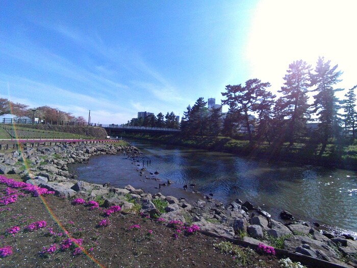 綾瀬川左岸防災公園(公園)まで668m オンワード中根