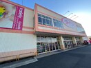 ダイソー狭山広瀬店(100均)まで250m ベルジュ