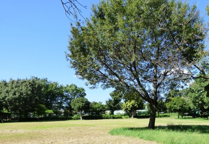 郷土の森公園(公園)まで550m Kolet府中矢崎町#02