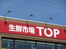 トップ(スーパー)まで600m フォ－ブル日高
