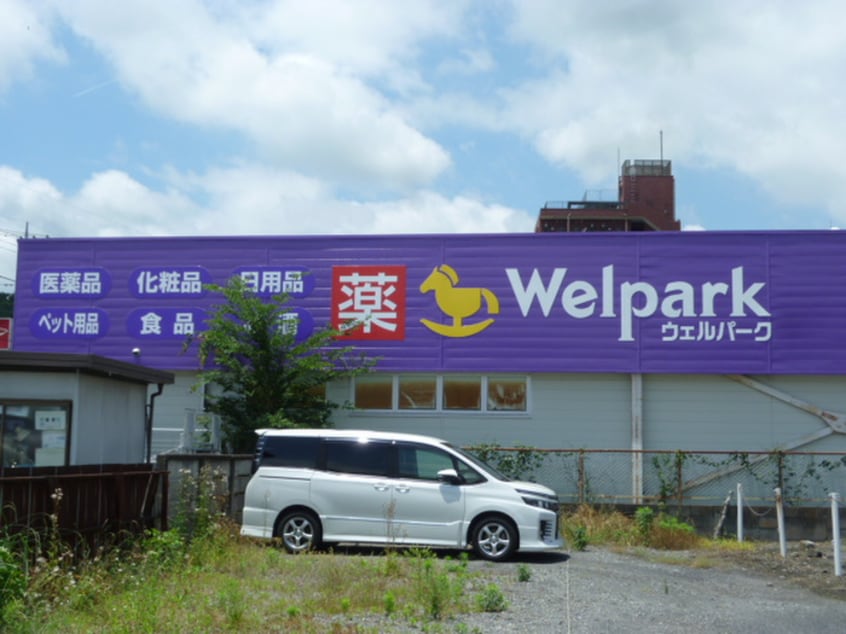 ウェルパーク飯能稲荷町店(ドラッグストア)まで125m 桜ビル