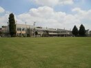 清瀬市立芝山小学校(小学校)まで700m サンガ－デンときわＢ棟